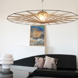 Light Fixture SWING